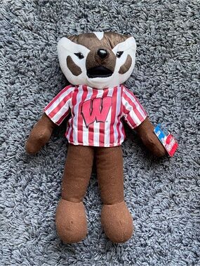 Wisconsin Badgers Plush